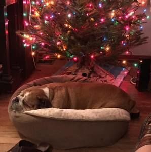 Meet your Posher, Shelley